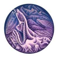 Demian Accardi avatar