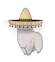 Maren Boerger avatar