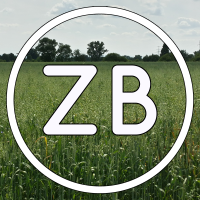 Zachary Brody avatar