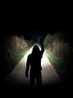 Alexander Neumann avatar