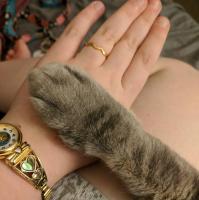 Chantel Morrow avatar