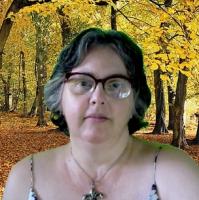 Monica Lucan de Oliveira avatar