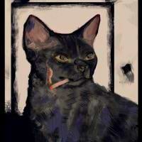 Paulina Wiosna avatar