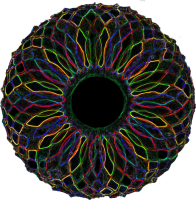 Irene Lesser Hiriart avatar