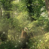 Chili Christensen avatar