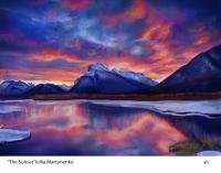 Iuliia Martynenko avatar