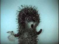 Arpi Mangasaryan avatar