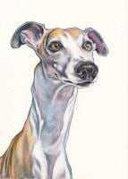 Jim Griffiths avatar