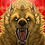 Furiarossa and Mimma