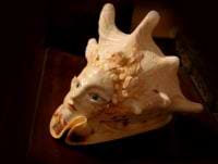 Hong Diep Loi avatar