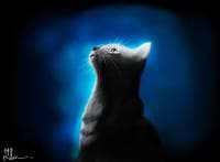 Ridwan Muhamad Iqbal avatar