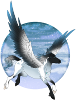 5c928418b932a avatar