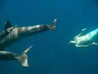 5c924f329c3d8 avatar