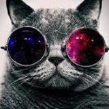 Mohammed Kasmi avatar