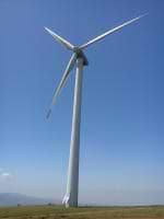 Hiram Kariuki Njuguna avatar