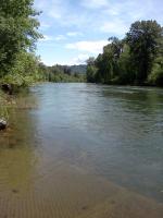 Michael Moore avatar