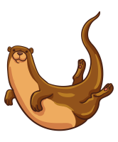 Robin Bröderbauer avatar