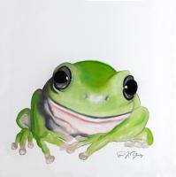 Shirin Yamolky avatar