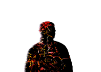 Blerton Thaqi avatar