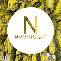 New Insight avatar