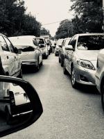 Tejaswini Bhatt avatar