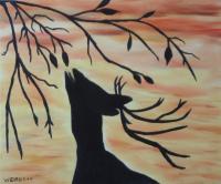 Marcel Woingue Dagrou avatar