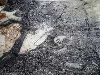 MALESI artwork avatar