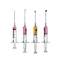 Miguel Di Lalla avatar