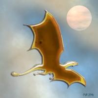 Jane Spaulding avatar