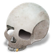 Ayart