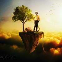 Phillips Sarbin avatar