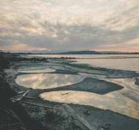 Michel Chevalier avatar