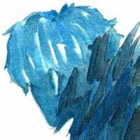 Samuel Anugrah Andre avatar