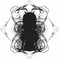 MARCO Rodriguez avatar