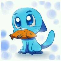 Miguel Martins avatar