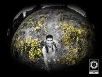 Vishwa Sathanjaya avatar