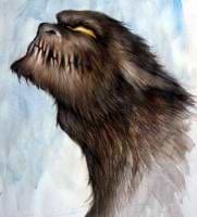 Sergey Martyn avatar