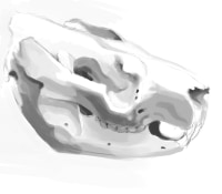 Adrian McSteel avatar