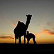 PhotoStock-Israel