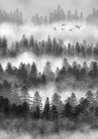 Natasha Joubert avatar