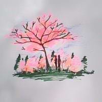 C and F Gallery avatar