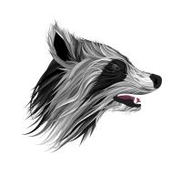 Stanislav Pavelka avatar