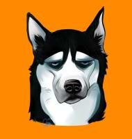 Beatrice Canova avatar