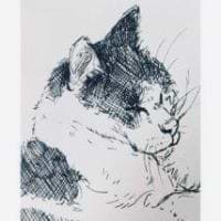 Louise Møller avatar