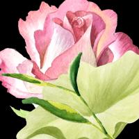 Mohlala Design avatar