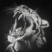 Vazha Kavlelashvili avatar