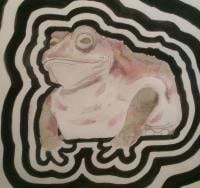 David Connell avatar