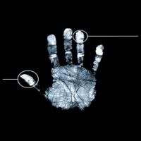 Łukasz Wójcik avatar