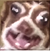 Diebitus