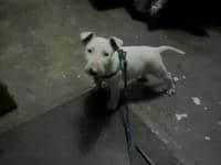 ismo mosquera avatar